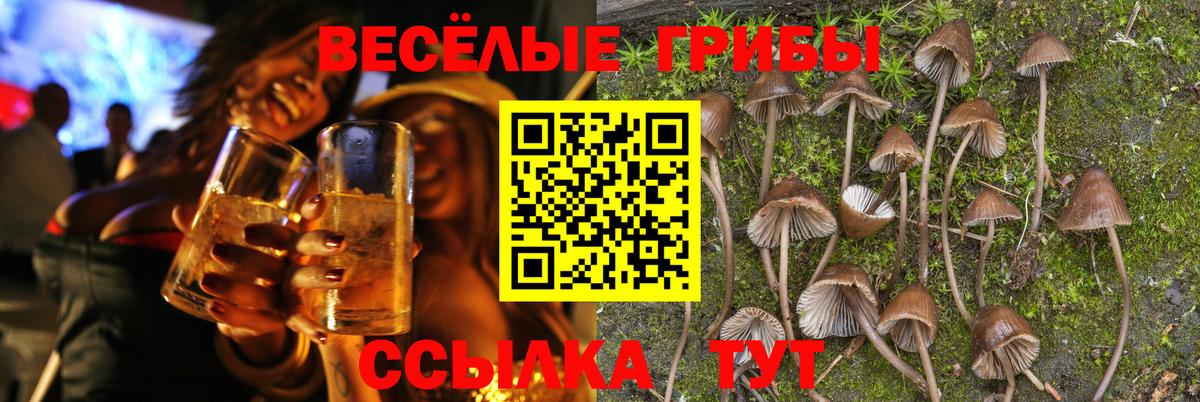 продажа наркотиков  Вязьма  Галлюциногенные грибы прущие грибы 