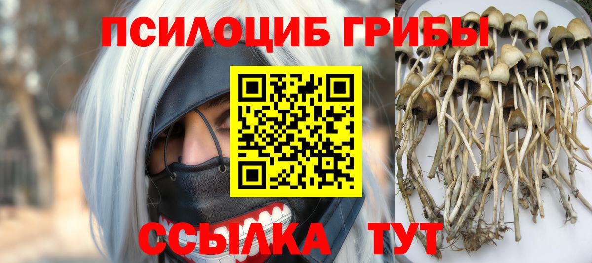 Вязьма  Псилоцибиновые грибы Magic Shrooms  Псилоцибиновые грибы MAGIC MUSHROOMS  где купить наркоту  Вход с VPN 